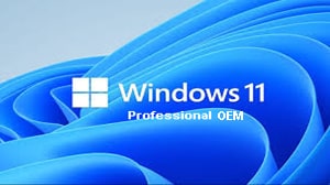 Logo officiel de Windows 11 PRO OEM, symbolisant l'évolution et la modernité des solutions serveurs à distance.