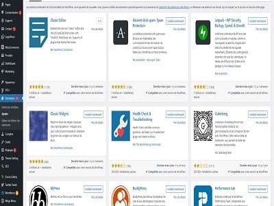 Capture d'écran de la section Extensions dans l'interface WordPress, montrant le menu de navigation sur la gauche et un large éventail d'extensions disponibles sur la partie droite. Les extensions affichées offrent diverses fonctionnalités pour la personnalisation et l'optimisation du site, allant de la gestion SEO aux fonctionnalités de réseaux sociaux.