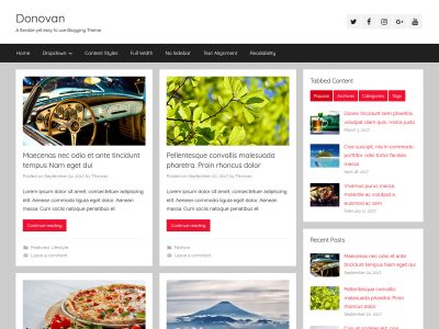 Capture d'écran d'un thème WordPress pour un blog polyvalent, présentant un en-tête avec le titre du blog et une variété de posts sur des sujets divers tels que les vieilles voitures, la nature, et des recettes de cuisine, illustrant la capacité de WordPress à créer des blogs personnalisés et riches en contenu.