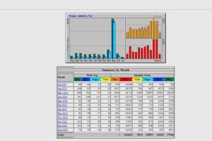 Screenshot van de Webalizer-interface in cPanel, toont gedetailleerde statistieken en verkeersrapporten voor een diepgaande monitoring van de websiteprestaties.