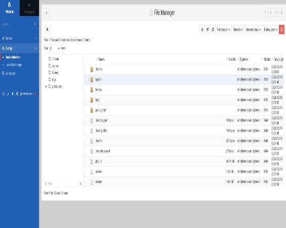 Screenshot van de 'File Manager' pagina in Virtualmin, ontworpen voor het beheren van bestanden en mappen gekoppeld aan een specifiek domein op de server. Deze interface maakt gemakkelijk beheer van toegangsrechten en domeinspecifieke configuraties mogelijk, wat het oplossen van problemen en onderhoud van verschillende webomgevingen vergemakkelijkt.