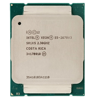 Intel Xeon E5-2670V3 processor, ideaal voor virtualisatie, grote datasets en webhosting met veel verkeer. Garandeert efficiënt beheer van zware processen.