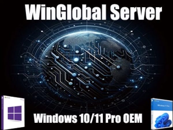 Printplaatplaneet die wereldwijde netwerken symboliseert, met 'WinGlobal Server' en logo's van 'Windows 10/11 Pro OEM', weerspiegelt de kracht en connectiviteit van Windows voor uitgebreide netwerken.